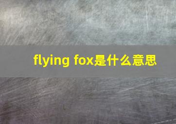 flying fox是什么意思